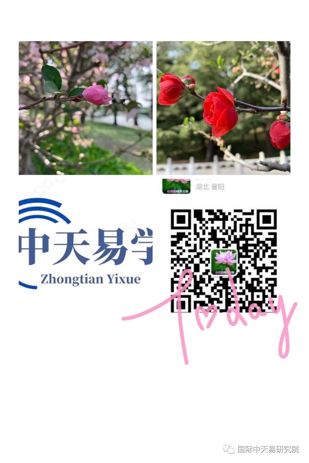 畏之如虎是什么生肖_畏敌如虎什么意思_畏什么什么虎