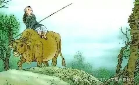 春风春雨是什么生肖_生肖春风指细雨还是粗雨_春风细雨指什么生肖