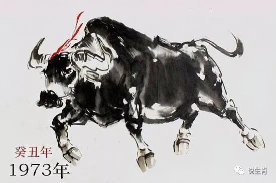 1973年属牛的人2013年运程_1973年属牛的人2013年运程_属牛的1973年运势如何