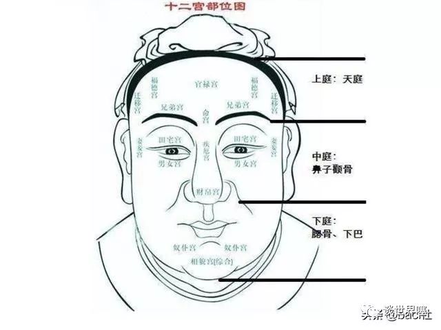 天庭饱满是什么意思啊_天庭饱满打一金融词语_天庭饱满