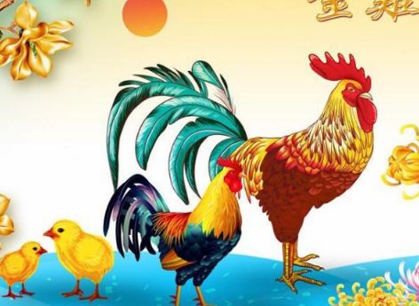 鼠年运势_鼠运势_鼠运势2021年运势如何