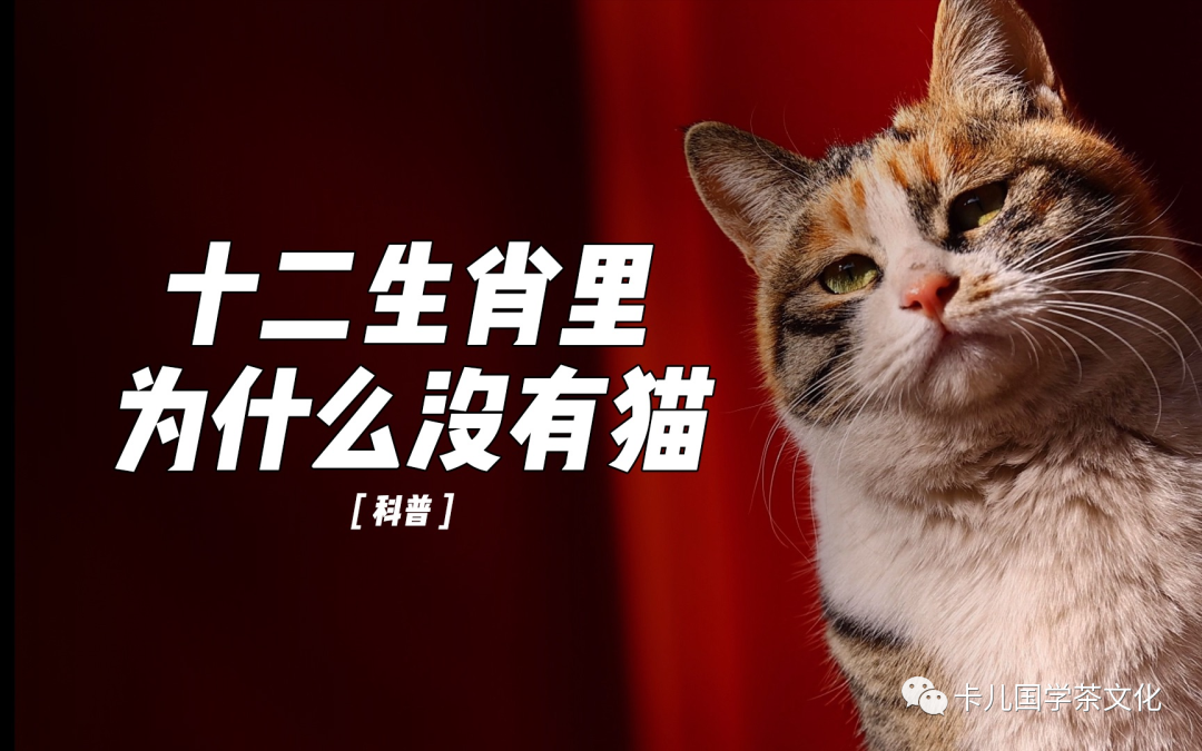 生肖顺序表排列图_生肖表十二顺序_大二生肖顺序表