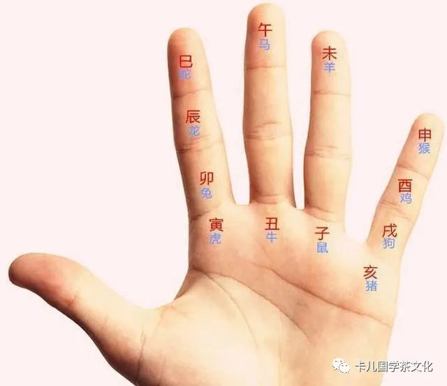 生肖顺序表排列图_大二生肖顺序表_生肖表十二顺序
