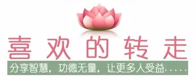 梦见狗死了_狗狗死了梦见狗狗没死_狗狗死了梦到了它