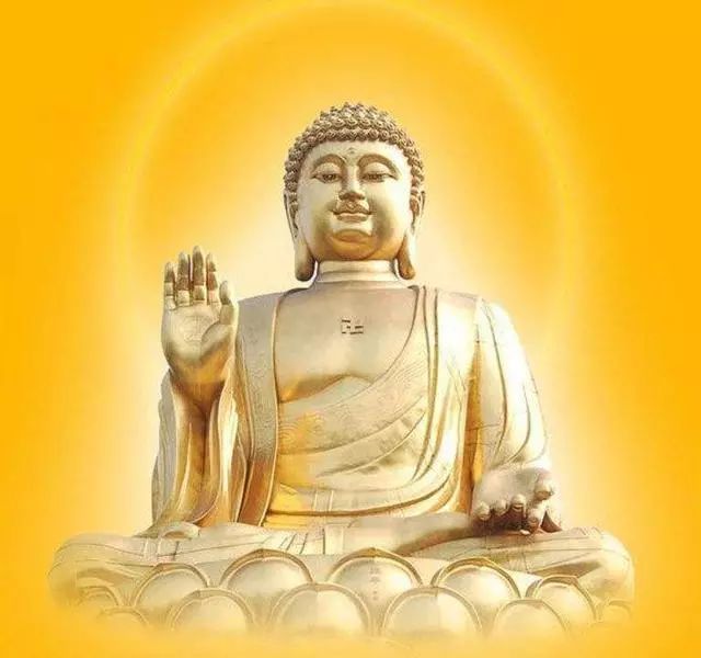 71年属猪48岁命运_各年份生肖猪的命运_生肖属猪命运