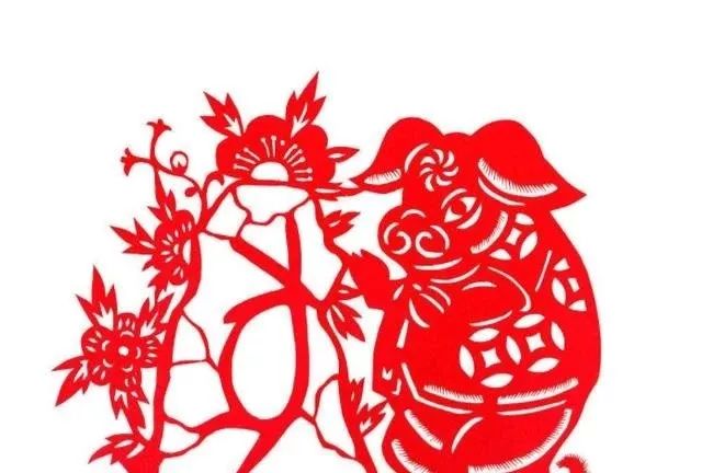 属猪命运_猪年人的命运_71年属猪48岁命运