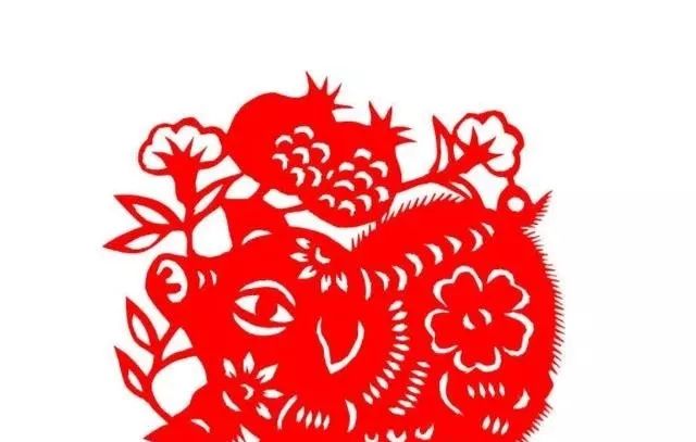 71年属猪48岁命运_猪年人的命运_属猪命运