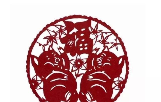 属猪命运_71年属猪48岁命运_猪年人的命运