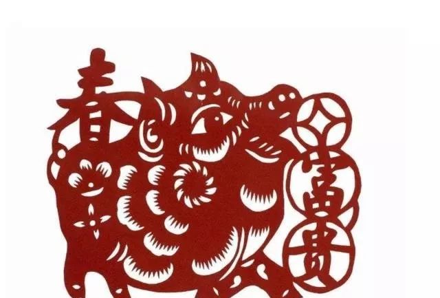 猪年人的命运_71年属猪48岁命运_属猪命运