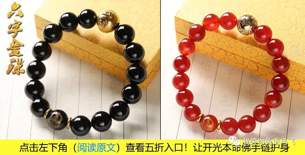 71年属猪48岁命运_猪年人的命运_属猪命运