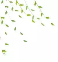鼠年几月出生好_鼠年出生哪个月好哪个月坏_鼠年哪个月出生最好命