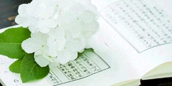 梦见日月同辉的天空很美_梦见日月同辉还拍照片了_梦见日月同辉