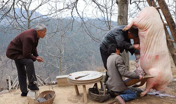 做梦杀猪梦见一男一女_做梦梦见杀猪_做梦杀猪梦见猪肉