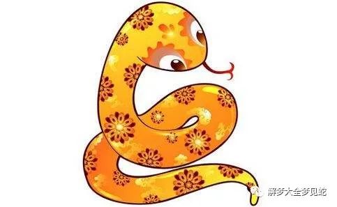 蛇年梦见蛇是什么预兆_梦见蛇_蛇梦见蛇是什么意思