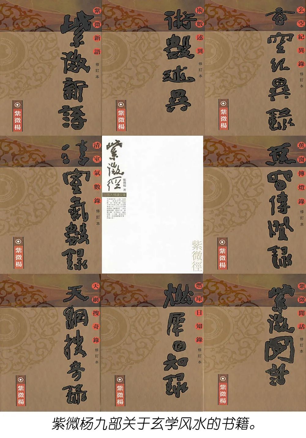 紫微斗数王亭之陆斌兆著_王亭之 紫微斗数_紫微斗数王亭之与倪海厦谁准确