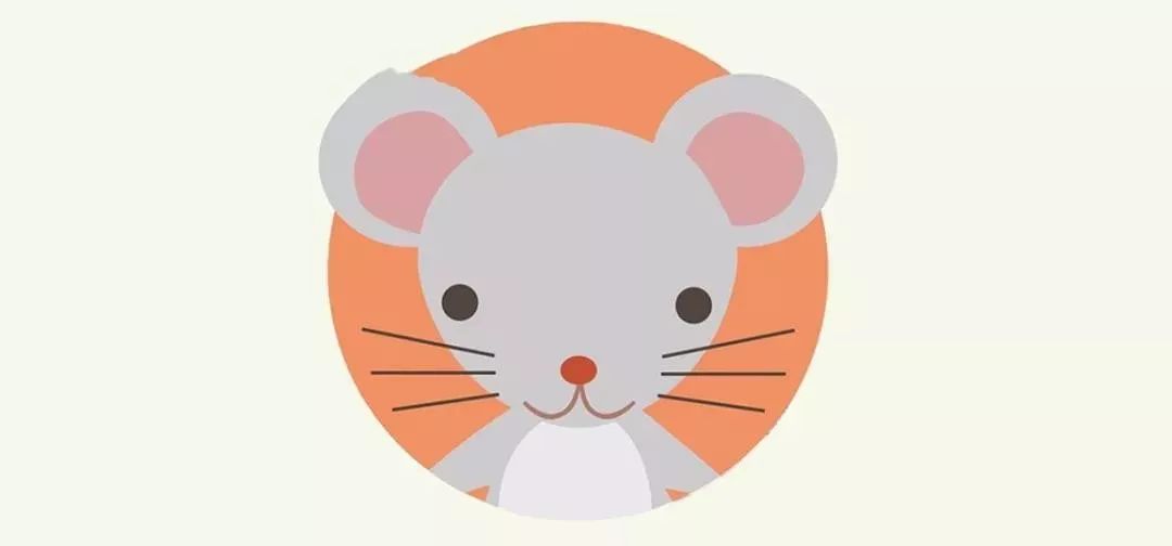 猪年本命年运势_猪年本命年运势好吗_运势命猪年本年运势如何