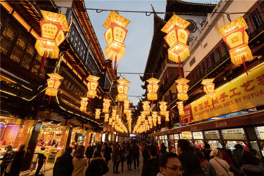 运势命猪年本年运势如何_猪年本命年运势_猪年本命年运势好吗