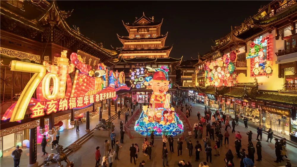猪年本命年运势好吗_运势命猪年本年运势如何_猪年本命年运势