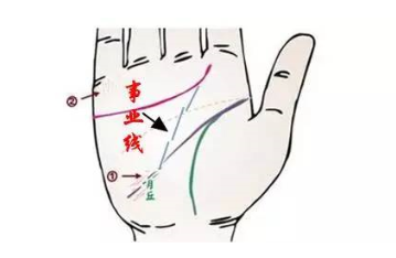 生命线断开_生命断开什么意思_断开的生命线图片