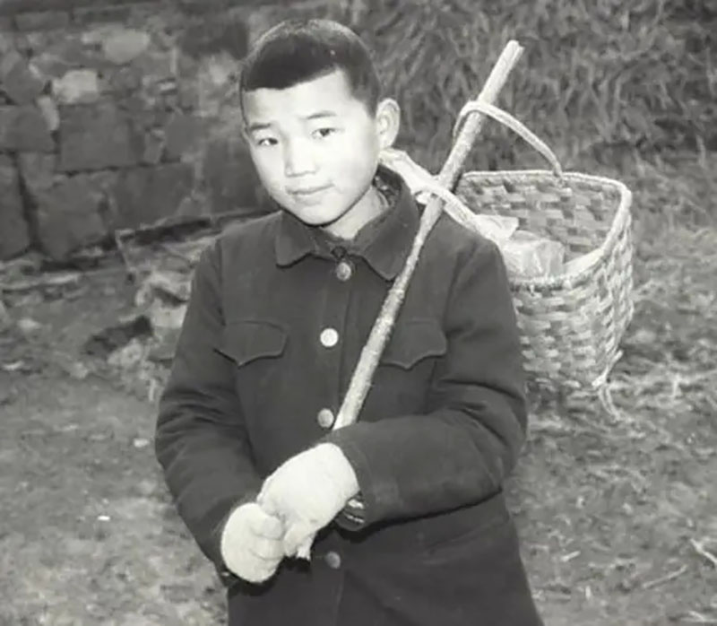属年的和什么属相最配_属年是哪几年_86年属什么