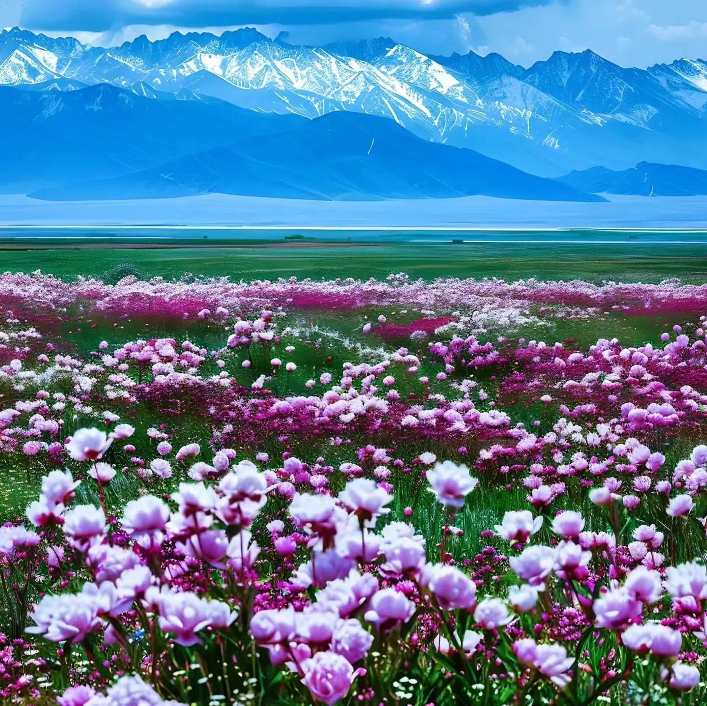 生肖属年龄_85年属什么的生肖_2020是什么生肖属年