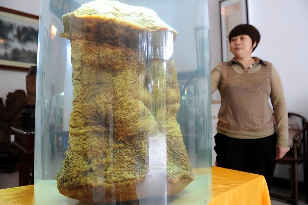 千年太岁_太岁priest_太岁2025年属相犯什么太岁