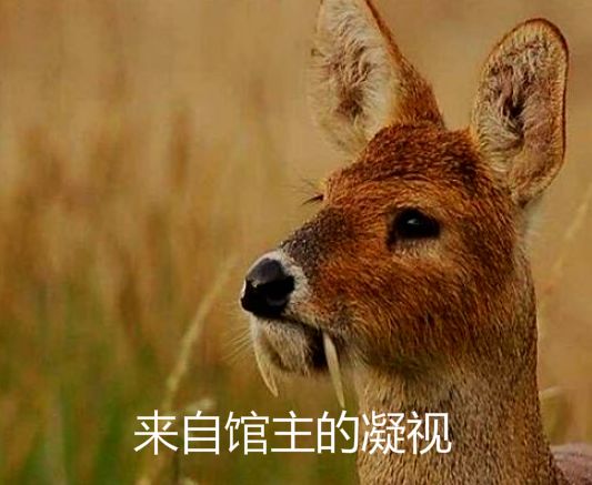 星宿关系_星宿关系查询入口_星宿关系查询免费