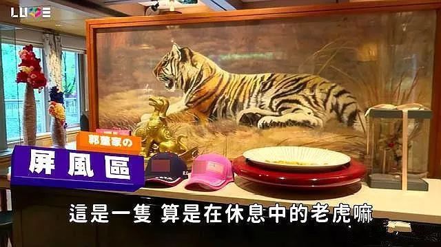 生肖预测彩票_生肖测试钞_生肖卡预测
