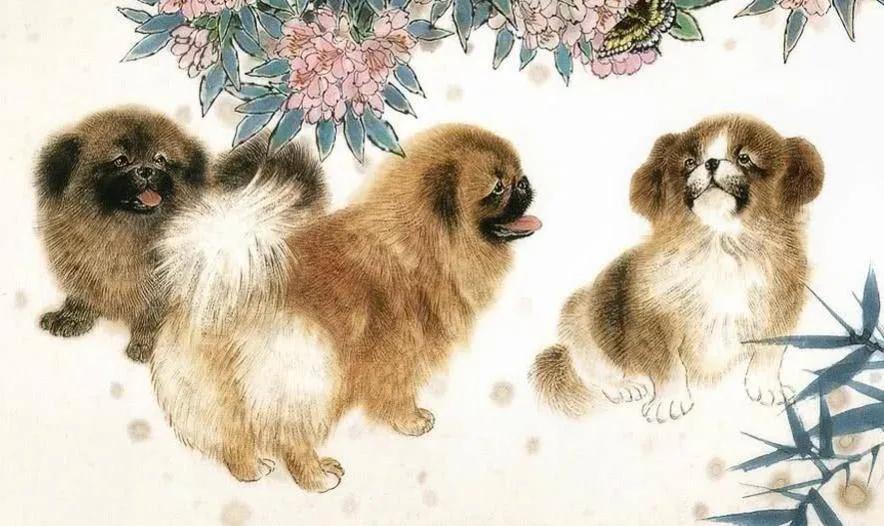狗牛配吗_狗牛配婚_牛配狗