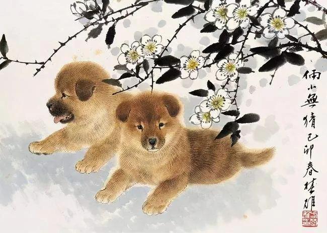 牛配狗_狗牛配婚_狗牛配吗