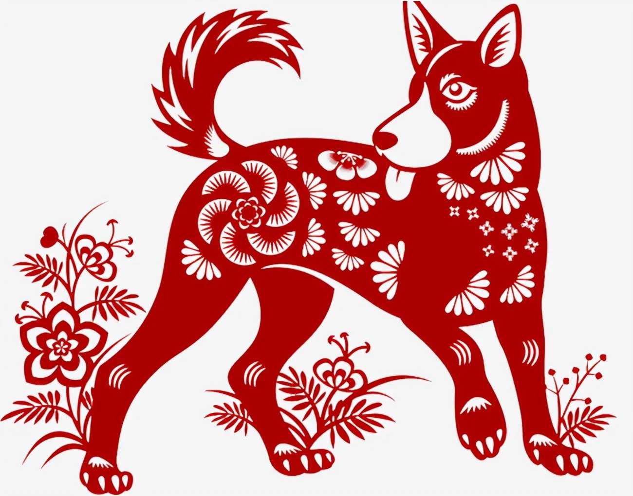 狗牛配婚_狗牛配吗_牛配狗
