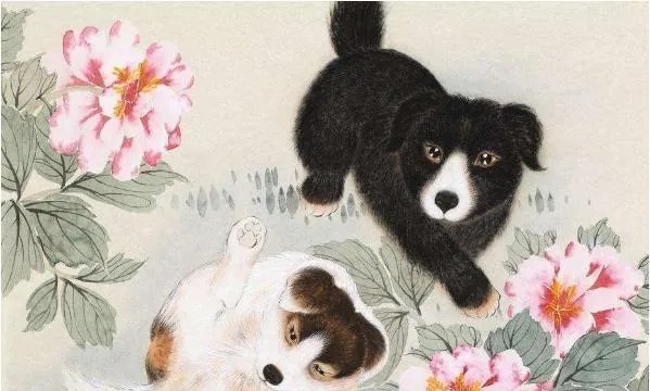 狗牛配婚_狗牛配吗_牛配狗