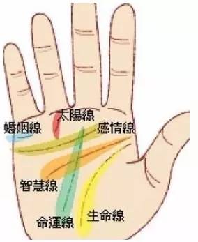 手相右左男女看是男还是女_看手相是男左女右吗_手相看手相男女有左右手区别吗