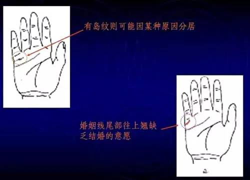 手相右左男女看是男还是女_手相看手相男女有左右手区别吗_看手相是男左女右吗