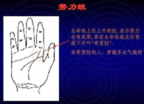 看手相是男左女右吗_手相看手相男女有左右手区别吗_手相右左男女看是男还是女