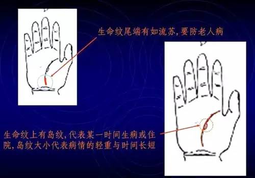看手相是男左女右吗_手相看手相男女有左右手区别吗_手相右左男女看是男还是女