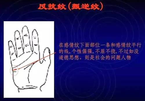 手相右左男女看是男还是女_手相看手相男女有左右手区别吗_看手相是男左女右吗