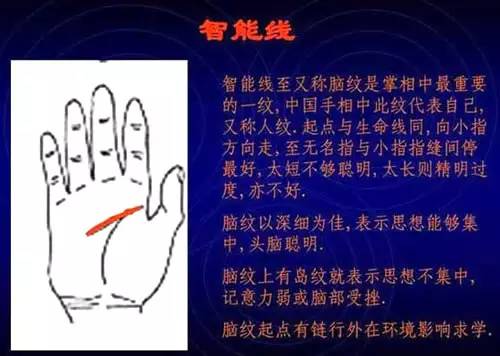 手相右左男女看是男还是女_手相看手相男女有左右手区别吗_看手相是男左女右吗