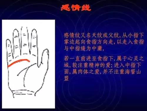手相看手相男女有左右手区别吗_手相右左男女看是男还是女_看手相是男左女右吗