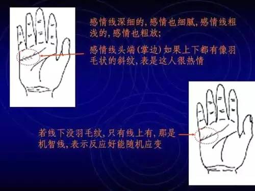 手相看手相男女有左右手区别吗_看手相是男左女右吗_手相右左男女看是男还是女
