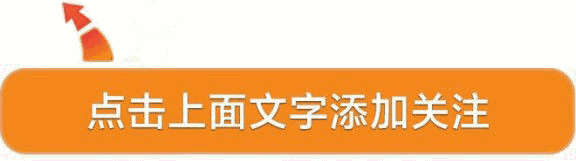 生肖配对指数_生肖配对指数100%_配对生肖指数查询