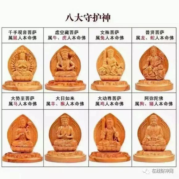 属马的出生年份表_马年出生年份表_生肖马出生的年份