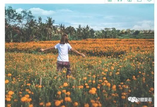 午睡梦见捞鱼_梦见捞鱼是男孩还是女孩_梦见捞鱼