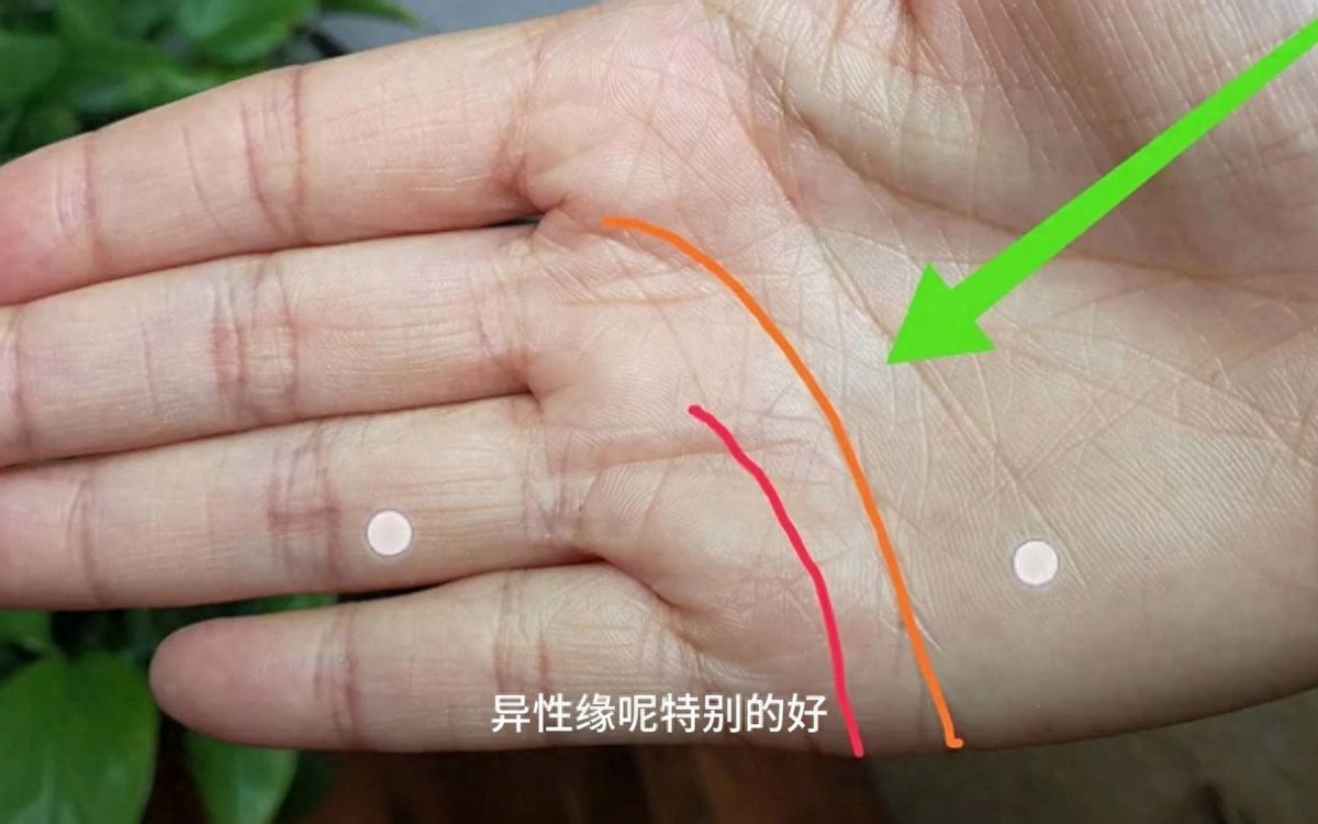 情感线是一条直线_两条感情线_一条感情线是不是就代表一段