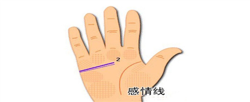 情感线是一条直线_两条感情线_一条感情线是不是就代表一段