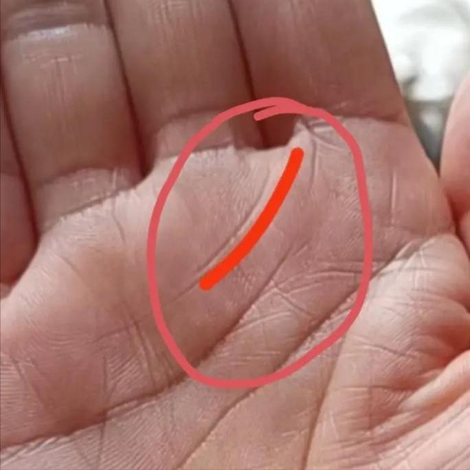 两条感情线_情感线是一条直线_一条感情线是不是就代表一段
