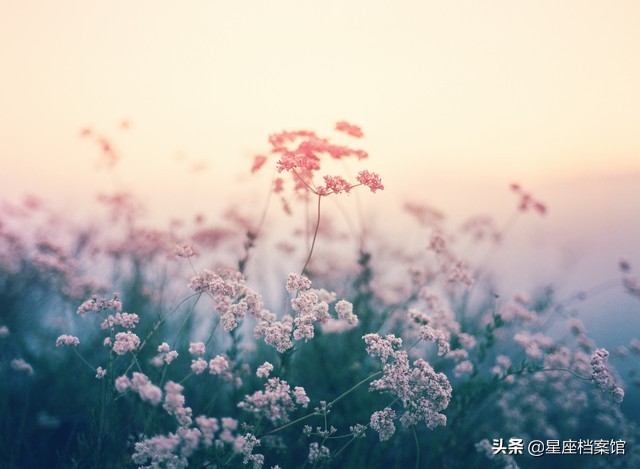 天秤座是几月几号到几月几号生日_天秤生日是从几月到几月_天秤座阳历生日是几月到几月