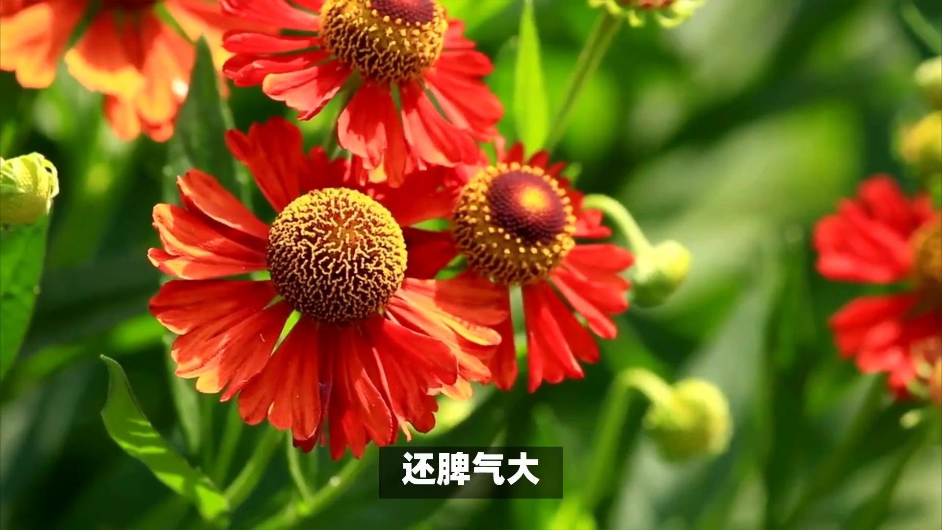 看相算命真的很准确_看相_看相是什么意思