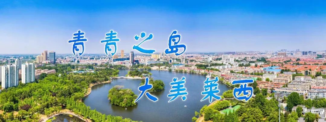 莱西人才网_莱西人才在线_莱西人才信息港