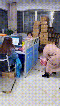 属猪本年命运怎么样_属猪本命年份_本命年猪